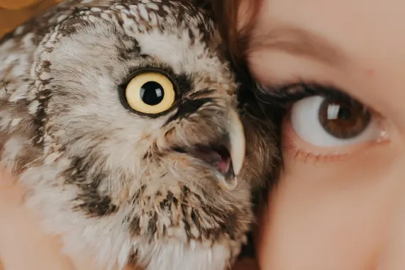 MatchUp Kasyno Wsparcie